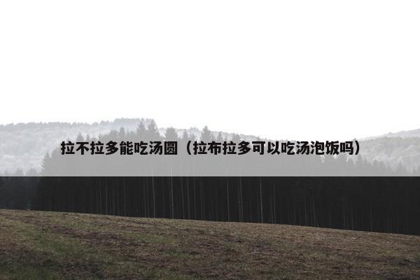 拉不拉多能吃汤圆（拉布拉多可以吃汤泡饭吗）