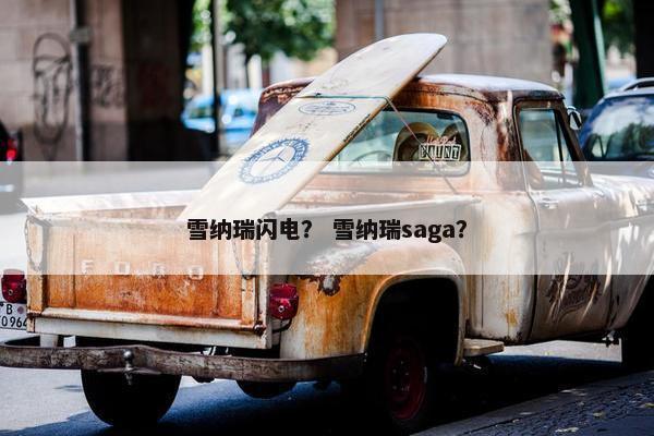 雪纳瑞闪电？ 雪纳瑞saga？