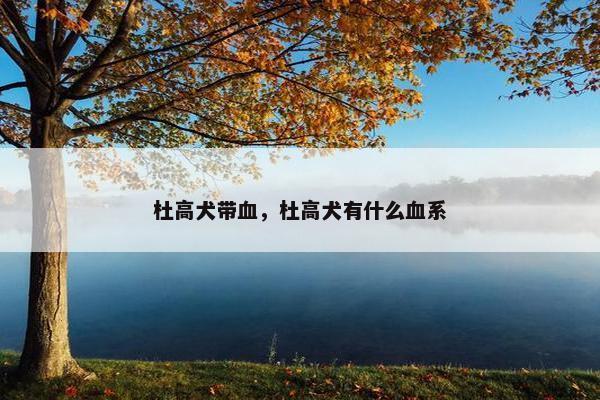 杜高犬带血，杜高犬有什么血系