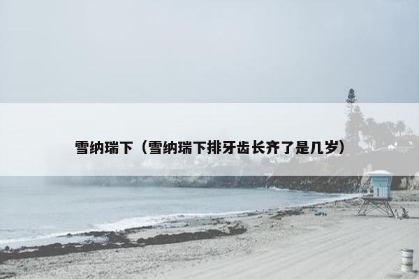 雪纳瑞下（雪纳瑞下排牙齿长齐了是几岁）