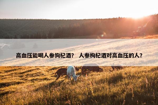 高血压能喝人参狗杞酒？ 人参枸杞酒对高血压的人？