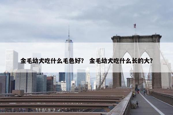 金毛幼犬吃什么毛色好？ 金毛幼犬吃什么长的大？