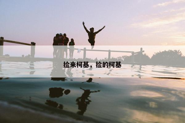 捡来柯基，捡的柯基