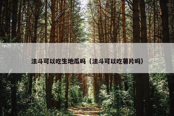 法斗可以吃生地瓜吗（法斗可以吃薯片吗）