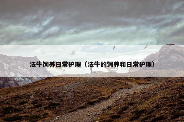 法牛饲养日常护理（法牛的饲养和日常护理）