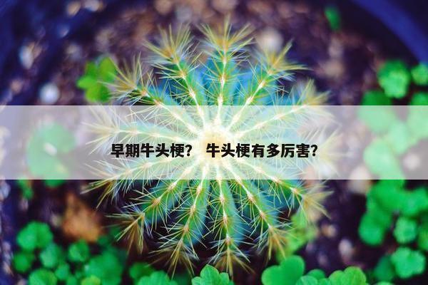 早期牛头梗？ 牛头梗有多厉害？