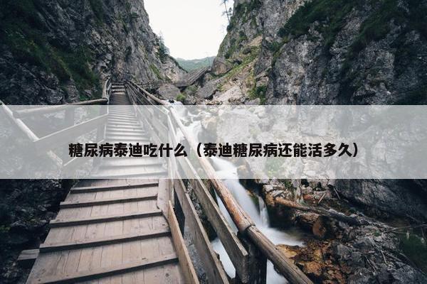 糖尿病泰迪吃什么（泰迪糖尿病还能活多久）