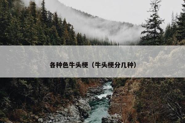 各种色牛头梗（牛头梗分几种）