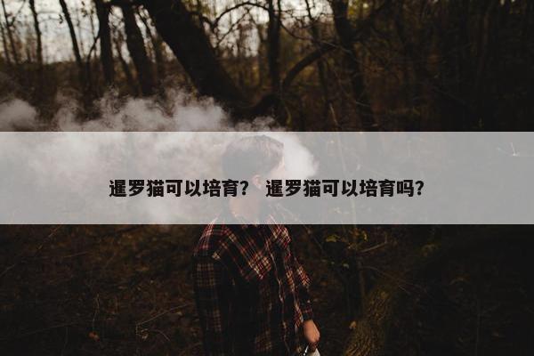 暹罗猫可以培育？ 暹罗猫可以培育吗？