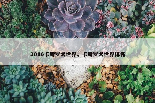 2016卡斯罗犬世界，卡斯罗犬世界排名