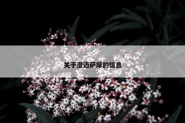 关于澄迈萨摩的信息