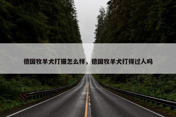 德国牧羊犬打猎怎么样，德国牧羊犬打得过人吗