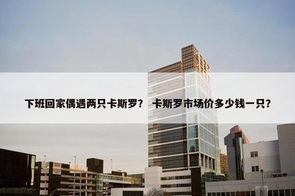下班回家偶遇两只卡斯罗？ 卡斯罗市场价多少钱一只？