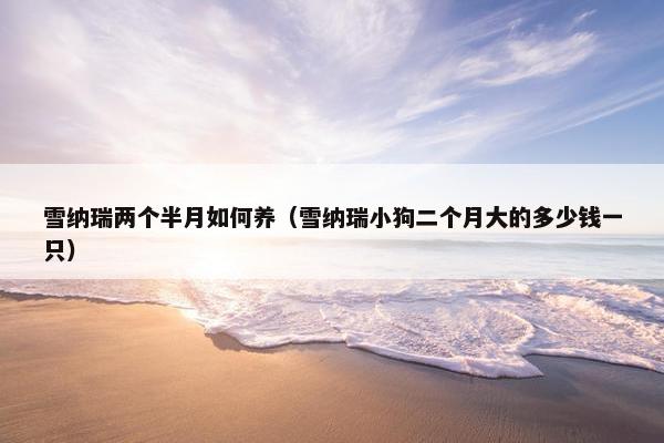 雪纳瑞两个半月如何养（雪纳瑞小狗二个月大的多少钱一只）