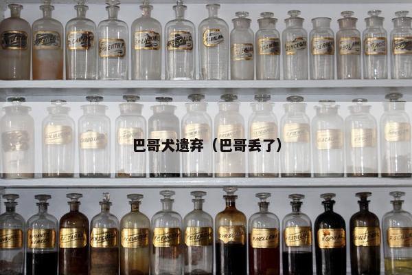 巴哥犬遗弃（巴哥丢了）