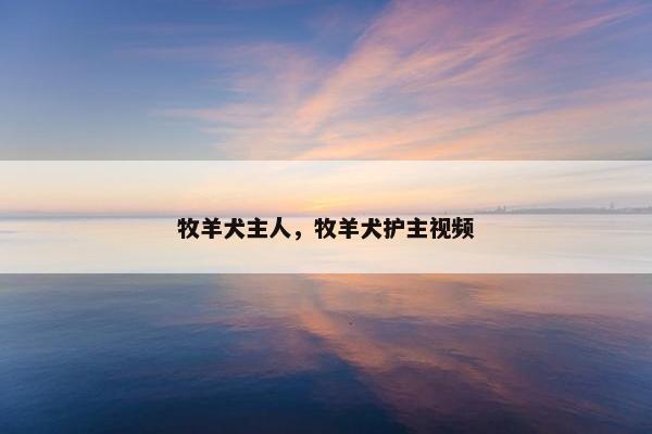 牧羊犬主人，牧羊犬护主视频