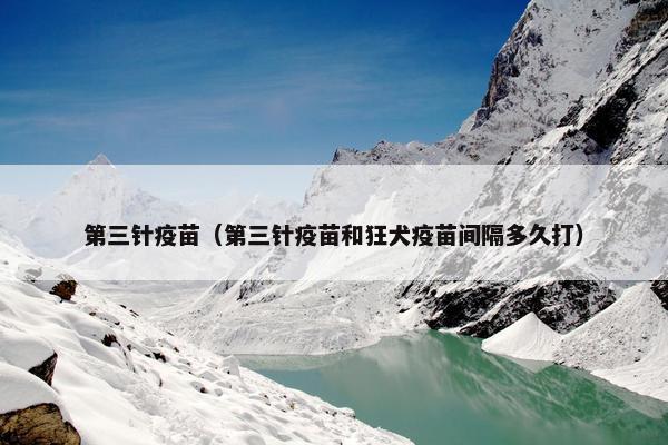 第三针疫苗（第三针疫苗和狂犬疫苗间隔多久打）