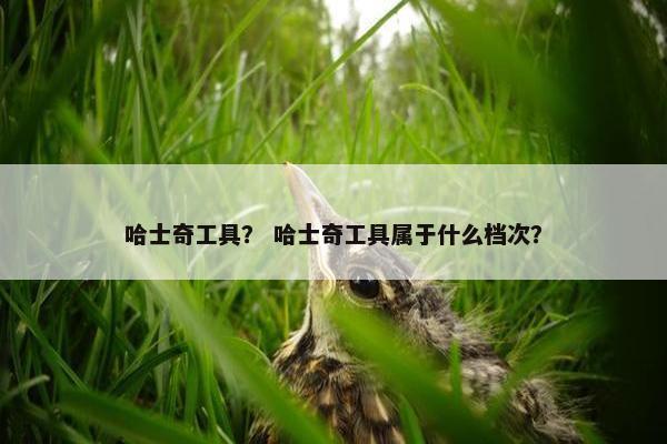 哈士奇工具？ 哈士奇工具属于什么档次？