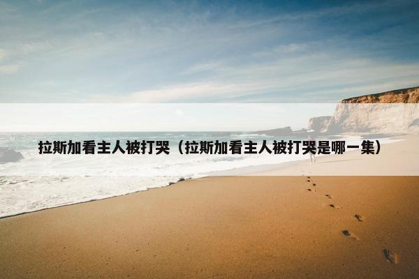 拉斯加看主人被打哭（拉斯加看主人被打哭是哪一集）