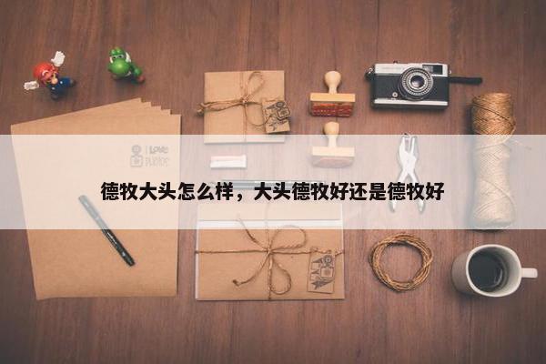 德牧大头怎么样，大头德牧好还是德牧好