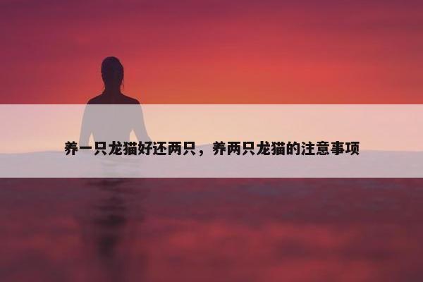 养一只龙猫好还两只，养两只龙猫的注意事项