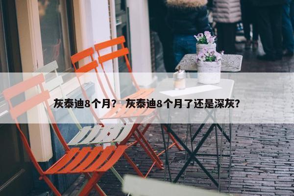 灰泰迪8个月？ 灰泰迪8个月了还是深灰？