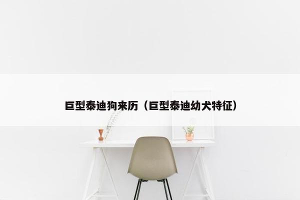 巨型泰迪狗来历（巨型泰迪幼犬特征）