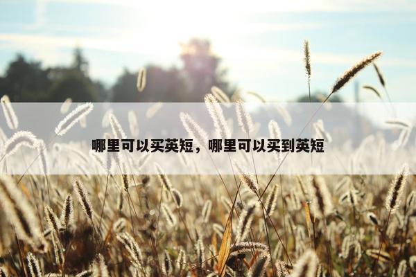 哪里可以买英短，哪里可以买到英短