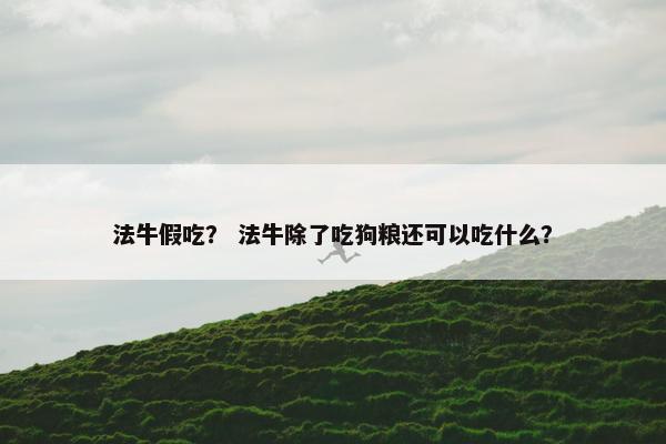 法牛假吃？ 法牛除了吃狗粮还可以吃什么？
