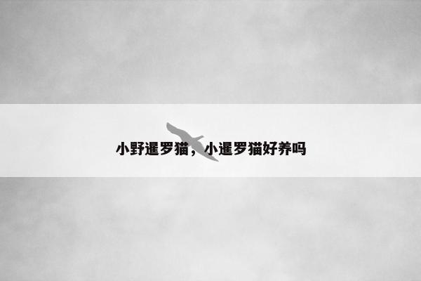 小野暹罗猫，小暹罗猫好养吗