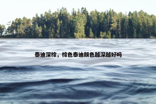 泰迪深棕，棕色泰迪颜色越深越好吗