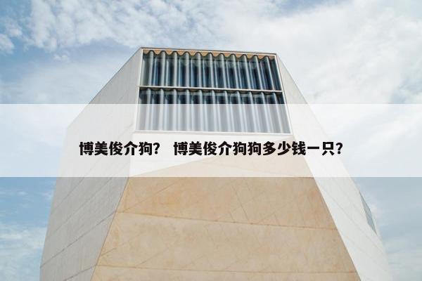 博美俊介狗？ 博美俊介狗狗多少钱一只？