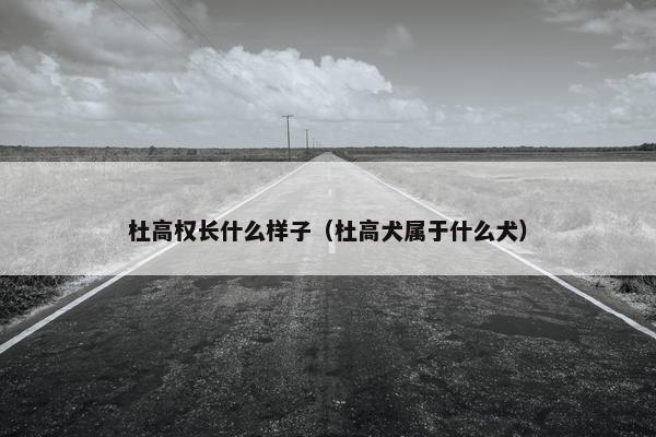 杜高权长什么样子（杜高犬属于什么犬）