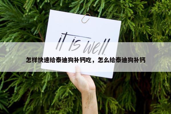 怎样快速给泰迪狗补钙吃，怎么给泰迪狗补钙