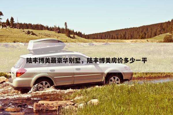 陆丰博美最豪华别墅，陆丰博美房价多少一平