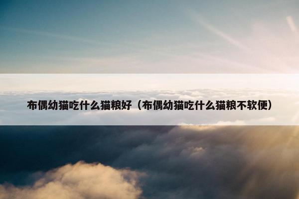 布偶幼猫吃什么猫粮好（布偶幼猫吃什么猫粮不软便）