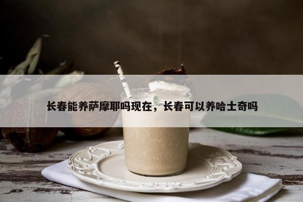 长春能养萨摩耶吗现在，长春可以养哈士奇吗