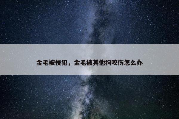 金毛被侵犯，金毛被其他狗咬伤怎么办