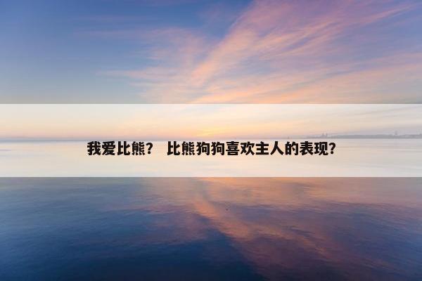 我爱比熊？ 比熊狗狗喜欢主人的表现？