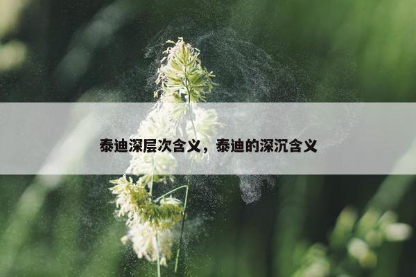 泰迪深层次含义，泰迪的深沉含义