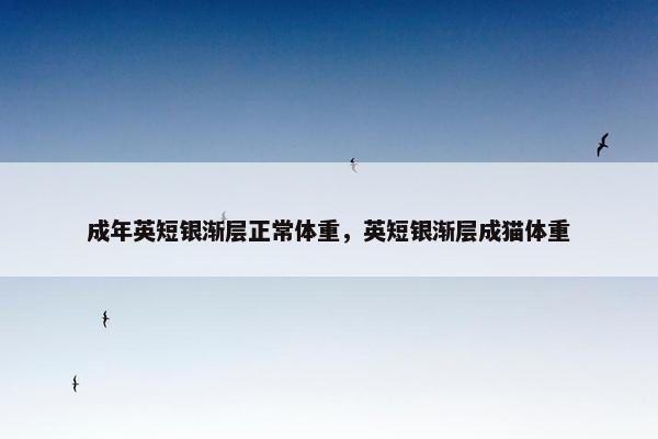 成年英短银渐层正常体重，英短银渐层成猫体重