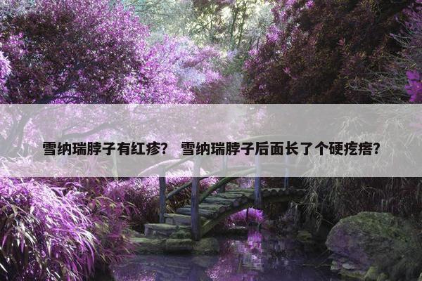 雪纳瑞脖子有红疹？ 雪纳瑞脖子后面长了个硬疙瘩？