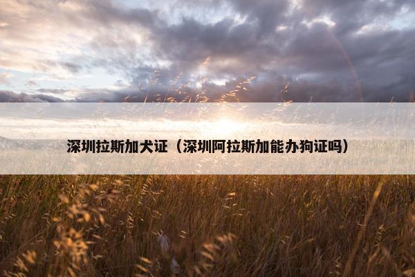 深圳拉斯加犬证（深圳阿拉斯加能办狗证吗）