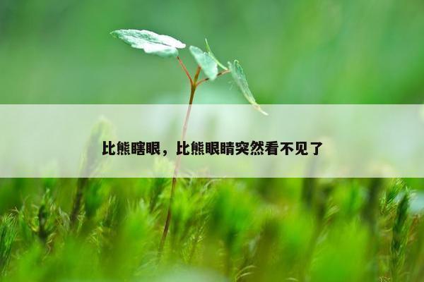 比熊瞎眼，比熊眼睛突然看不见了