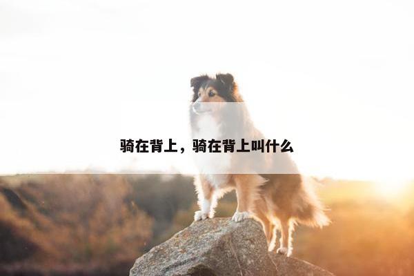 骑在背上，骑在背上叫什么