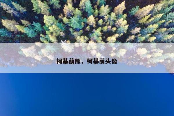 柯基萌熊，柯基萌头像