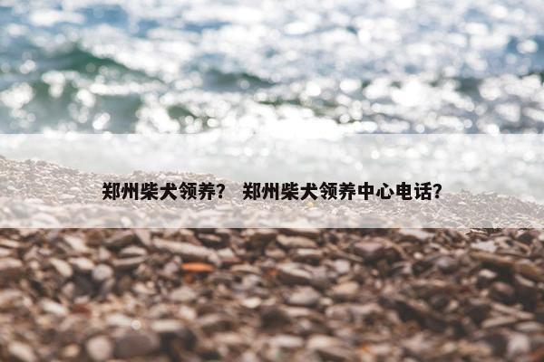 郑州柴犬领养？ 郑州柴犬领养中心电话？