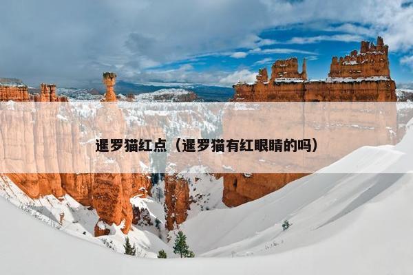 暹罗猫红点（暹罗猫有红眼睛的吗）