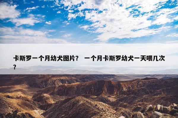 卡斯罗一个月幼犬图片？ 一个月卡斯罗幼犬一天喂几次？