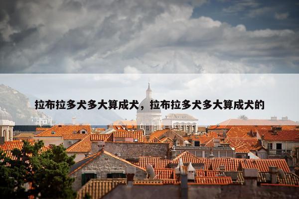 拉布拉多犬多大算成犬，拉布拉多犬多大算成犬的